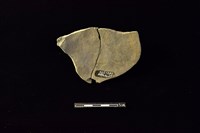 陶片藏品圖，第2張